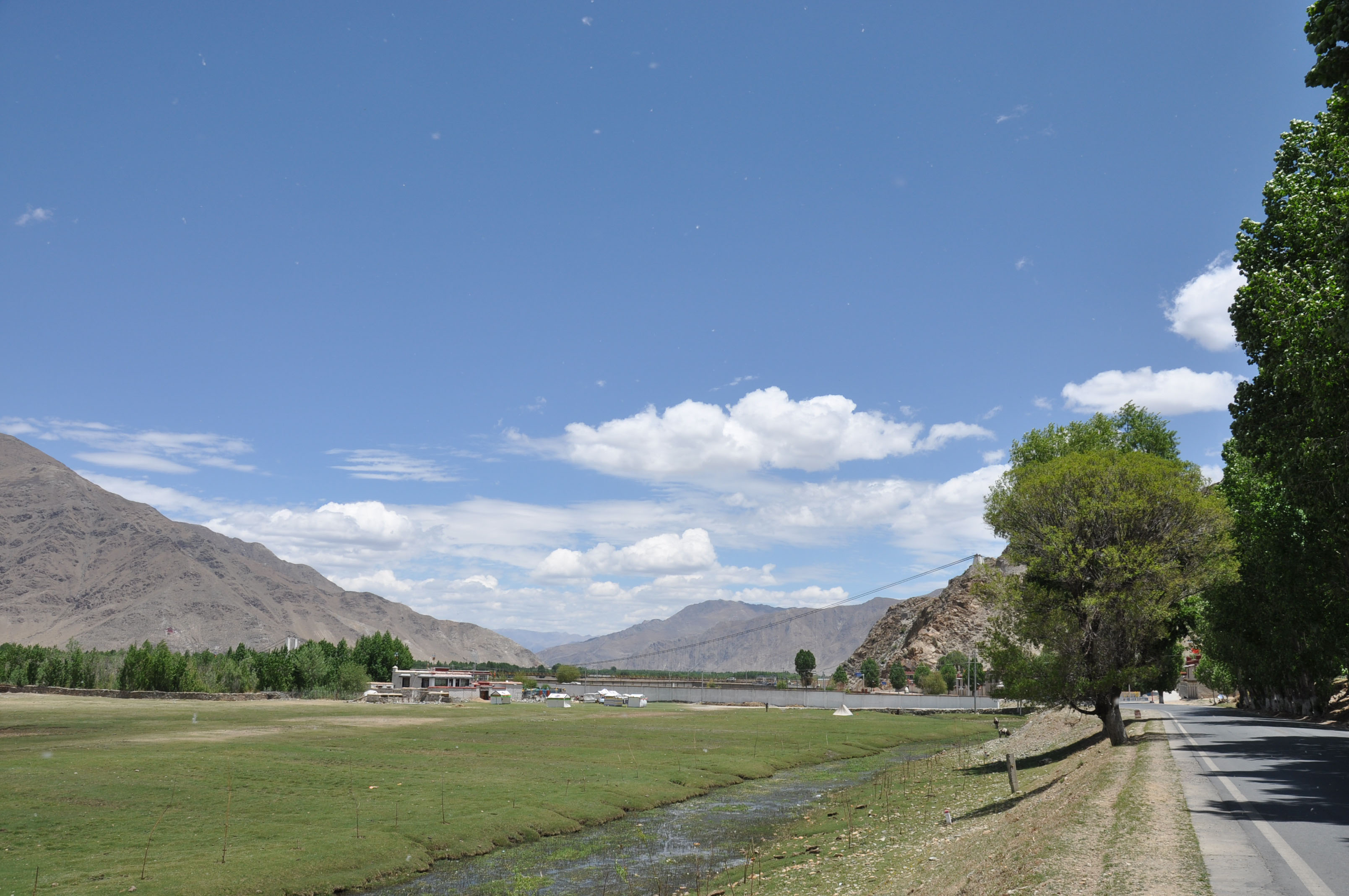 dsc_0116.jpg