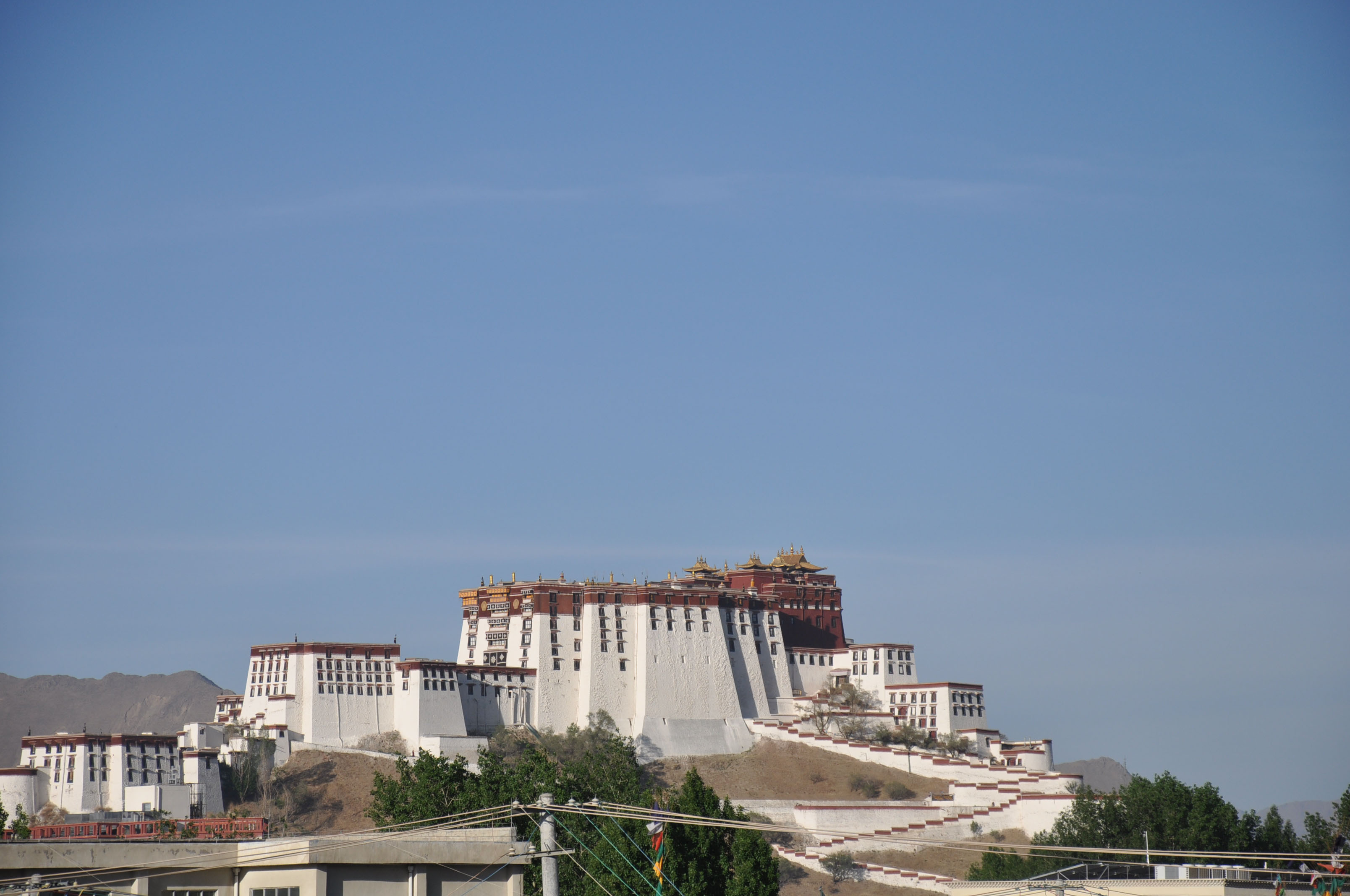 dsc_0153.jpg