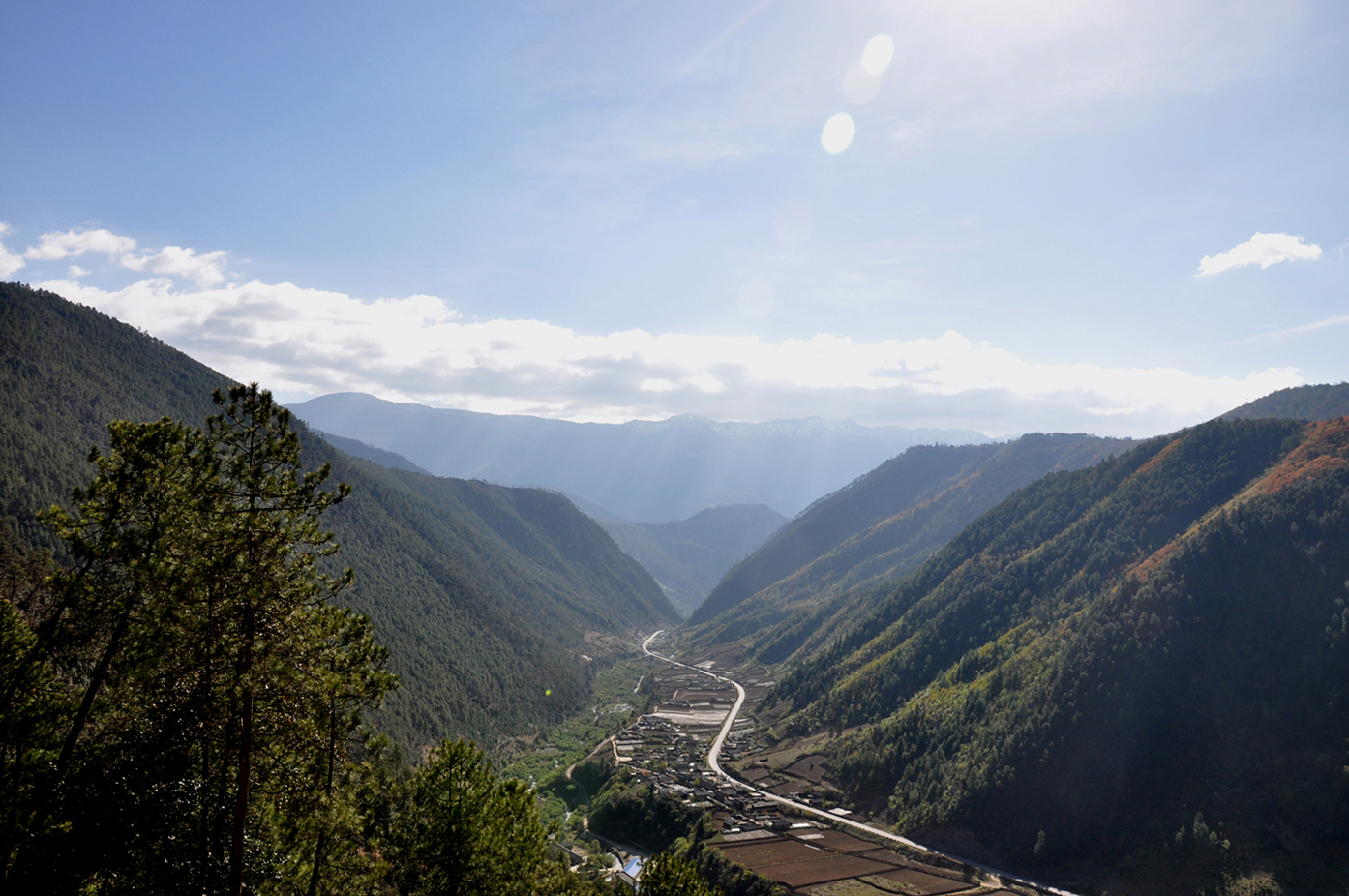 dsc_0492.jpg