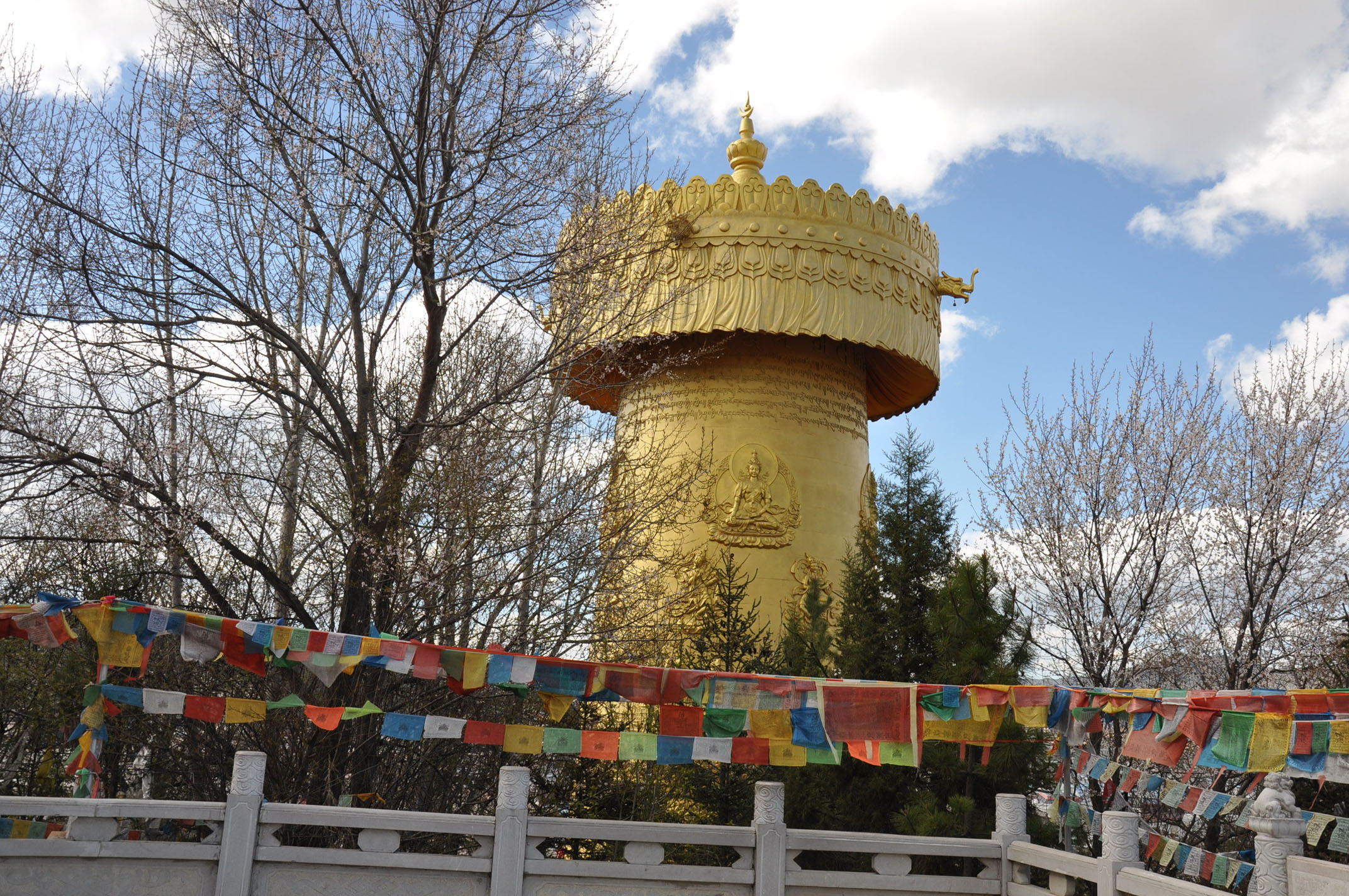 dsc_0572.jpg