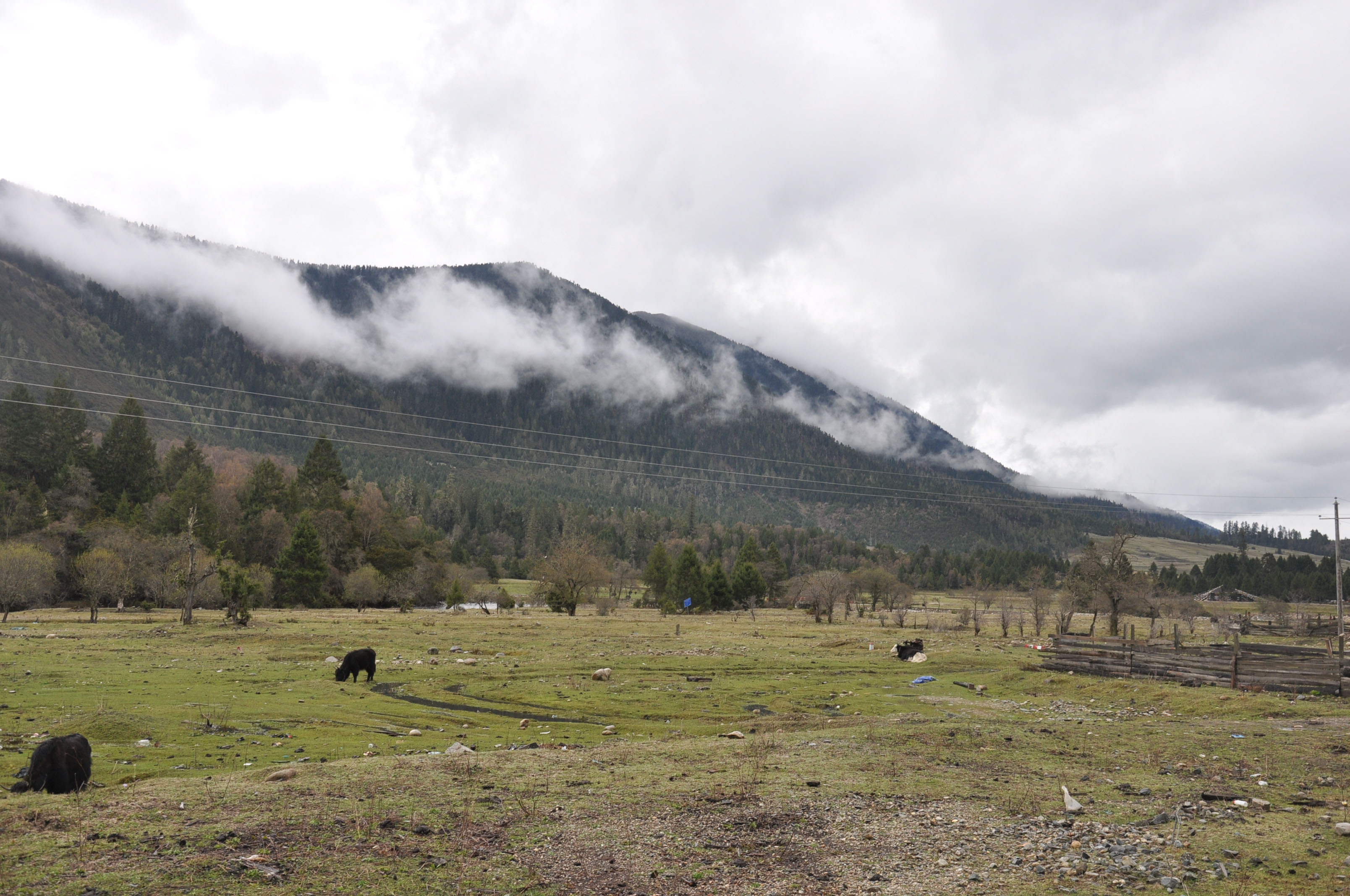 dsc_0822.jpg