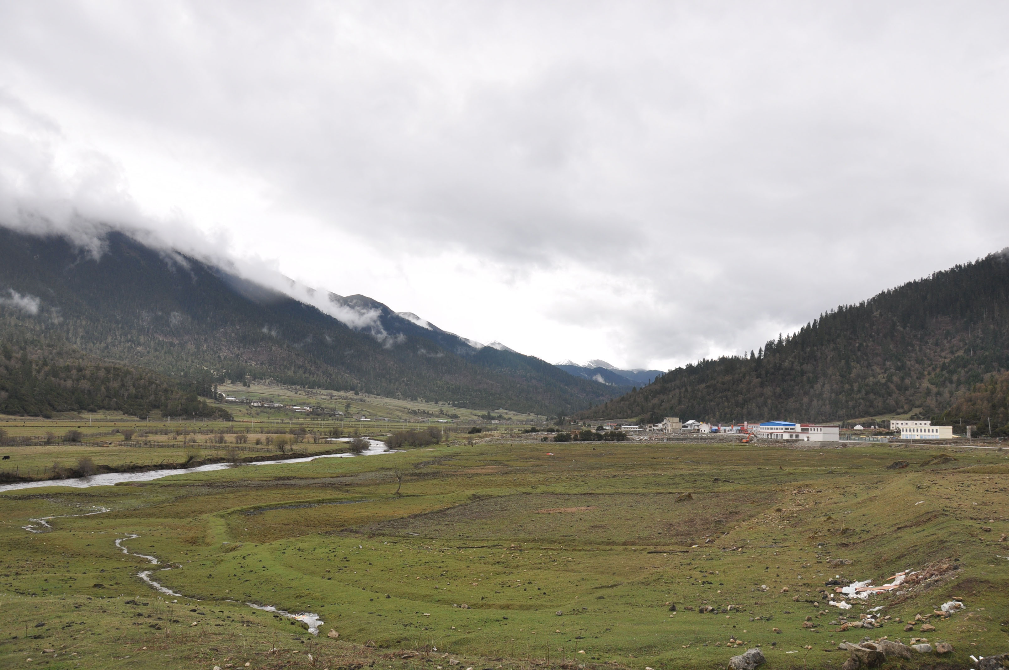 dsc_0842.jpg