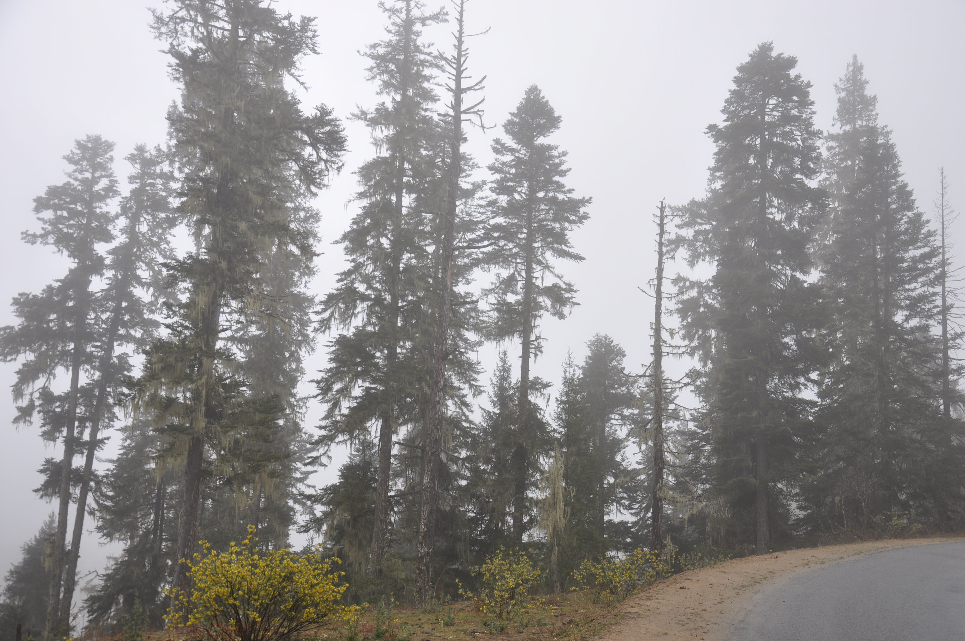 dsc_0845.jpg