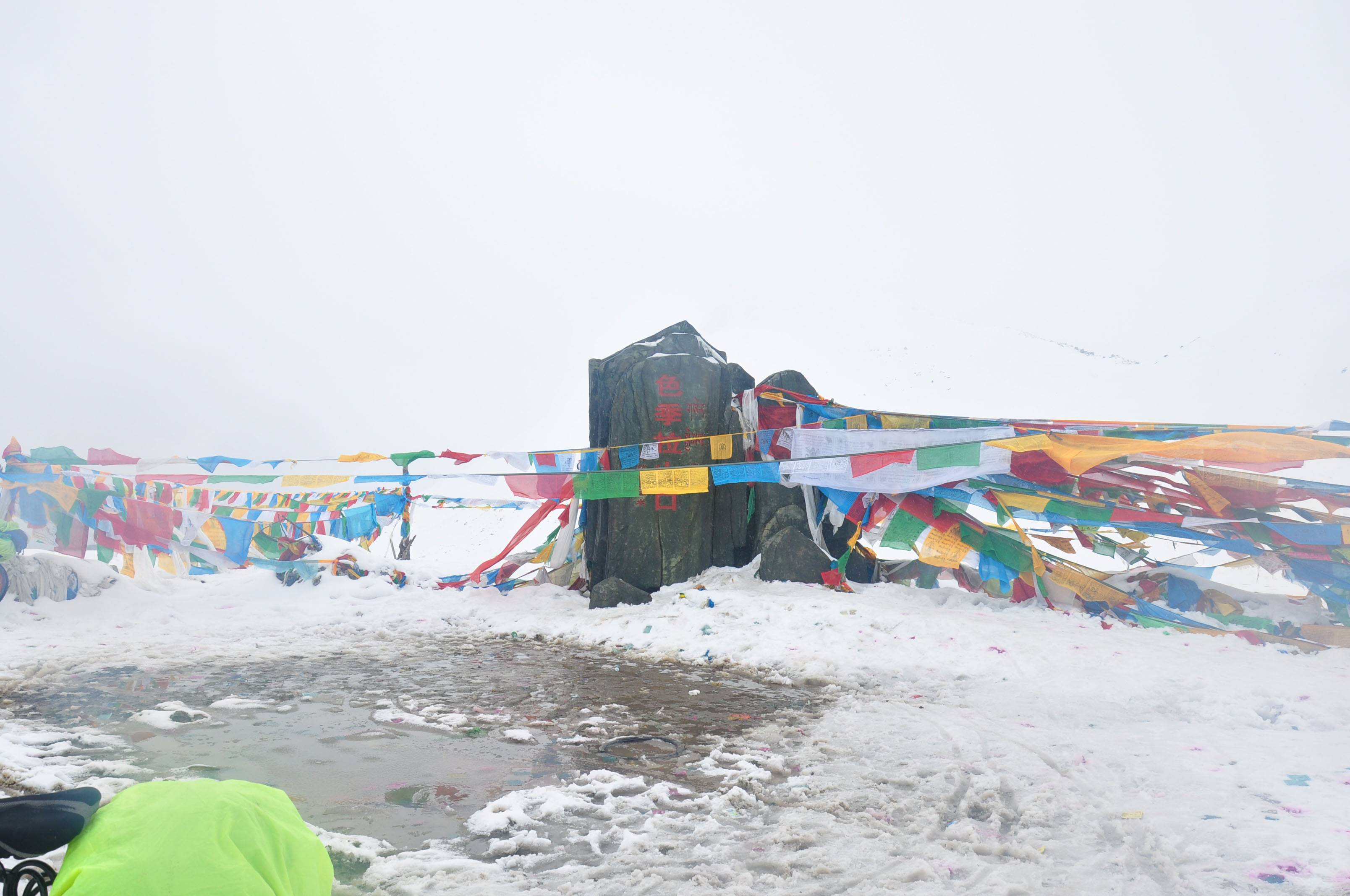 dsc_0871.jpg