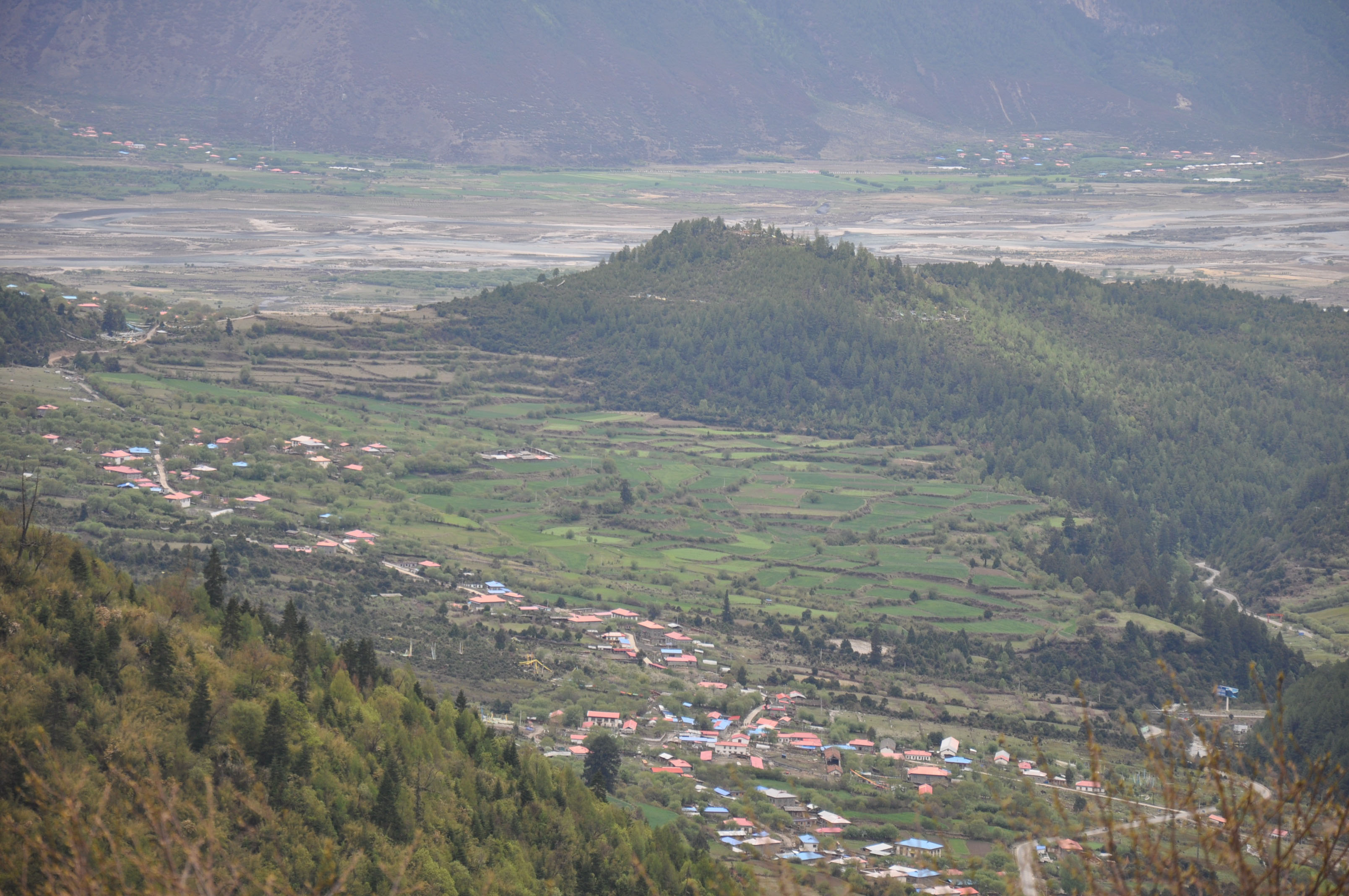 dsc_0890.jpg