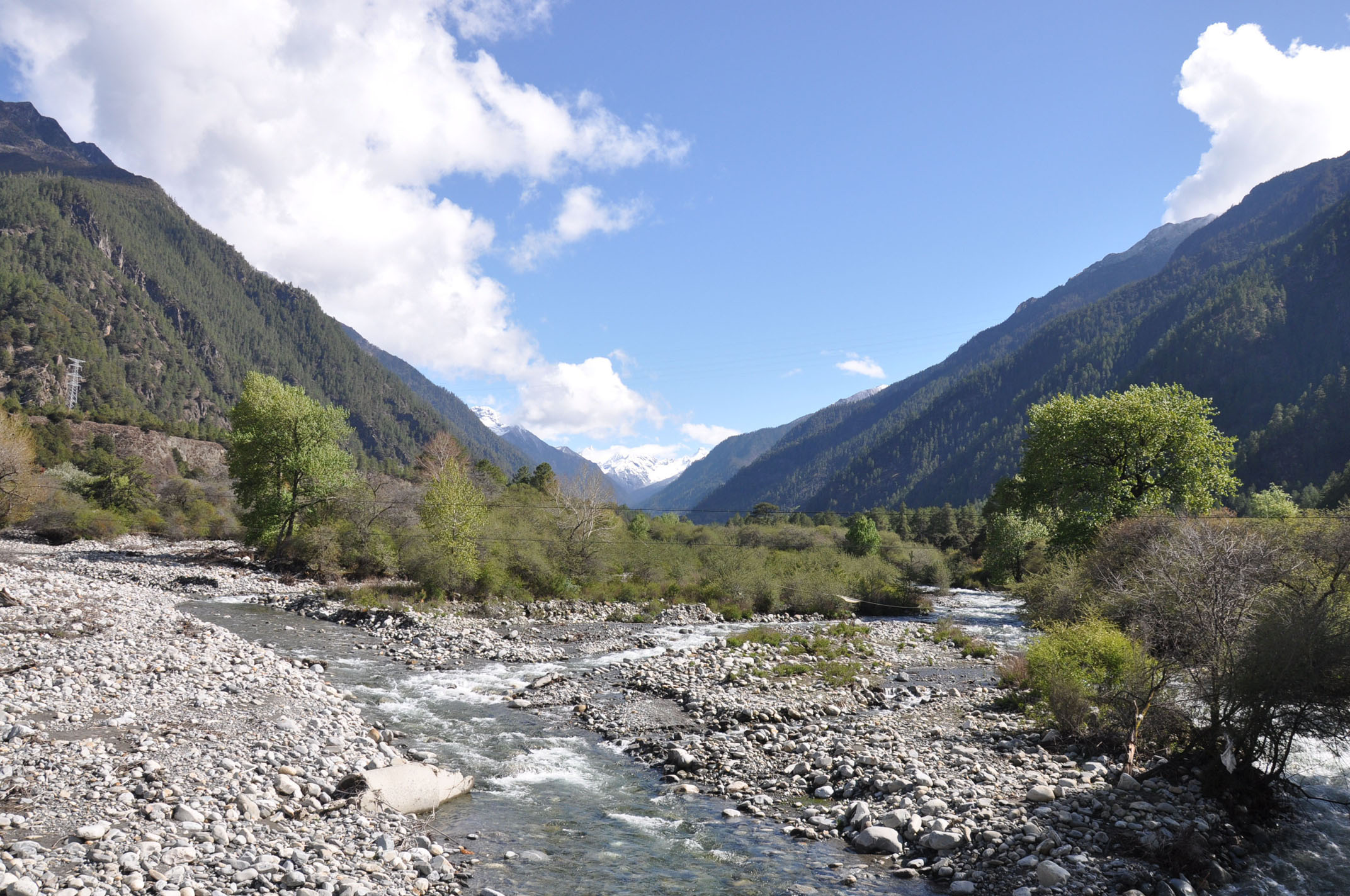 dsc_0921.jpg