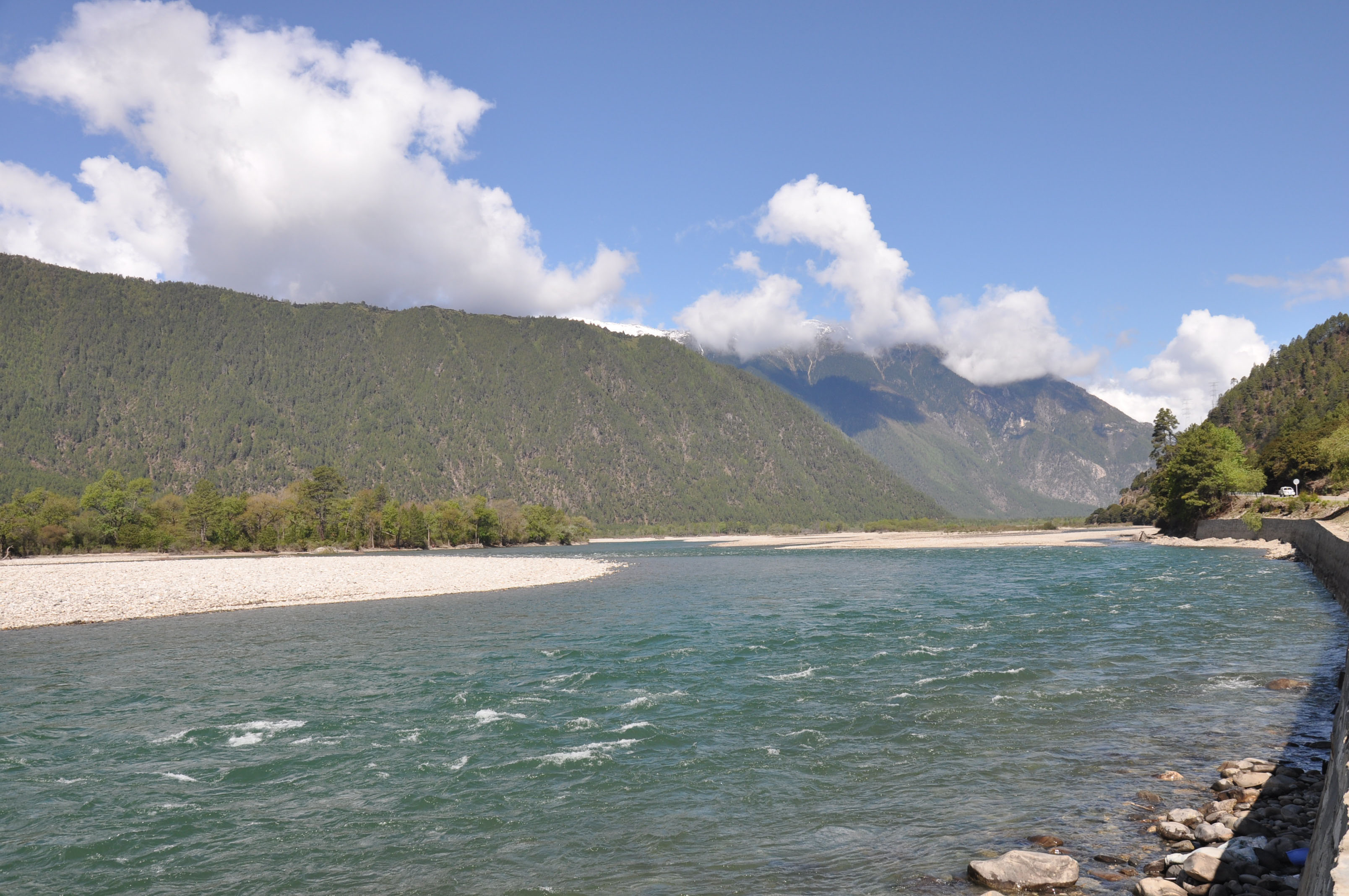 dsc_0925.jpg