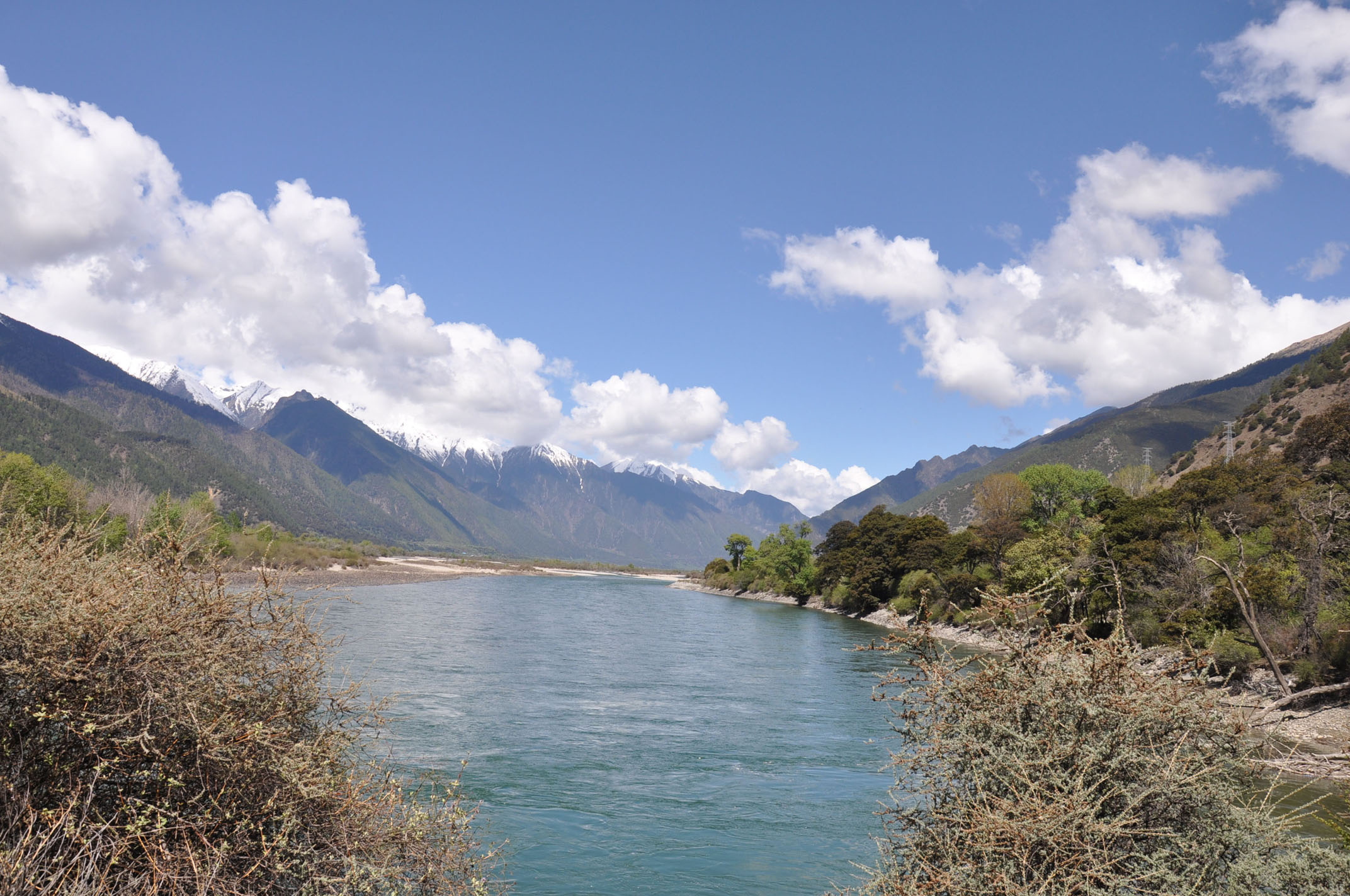 dsc_0933.jpg