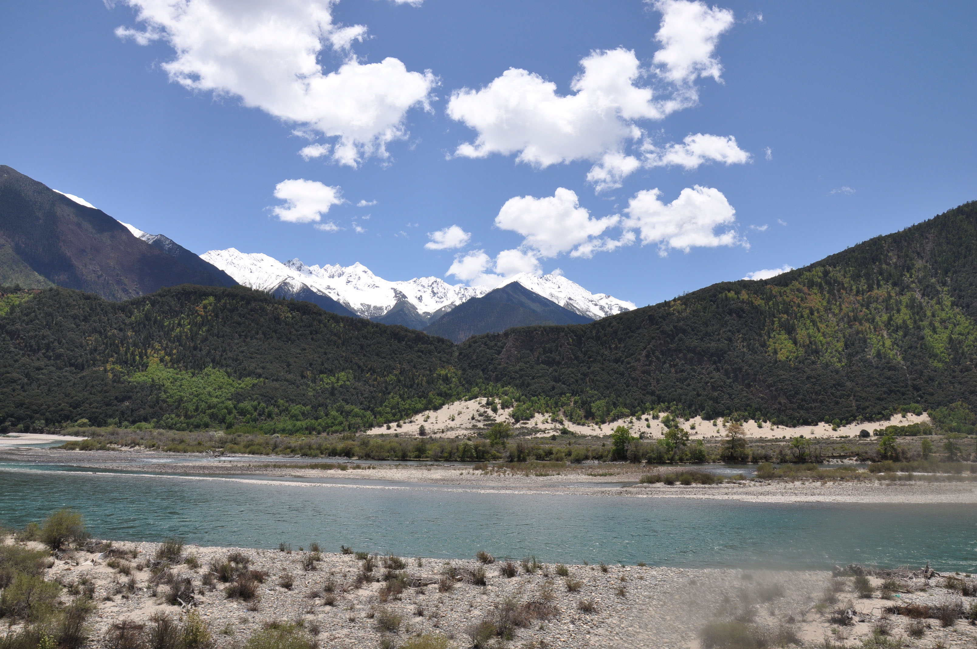 dsc_0955.jpg