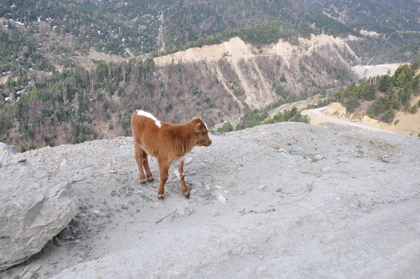 dsc_1122.jpg
