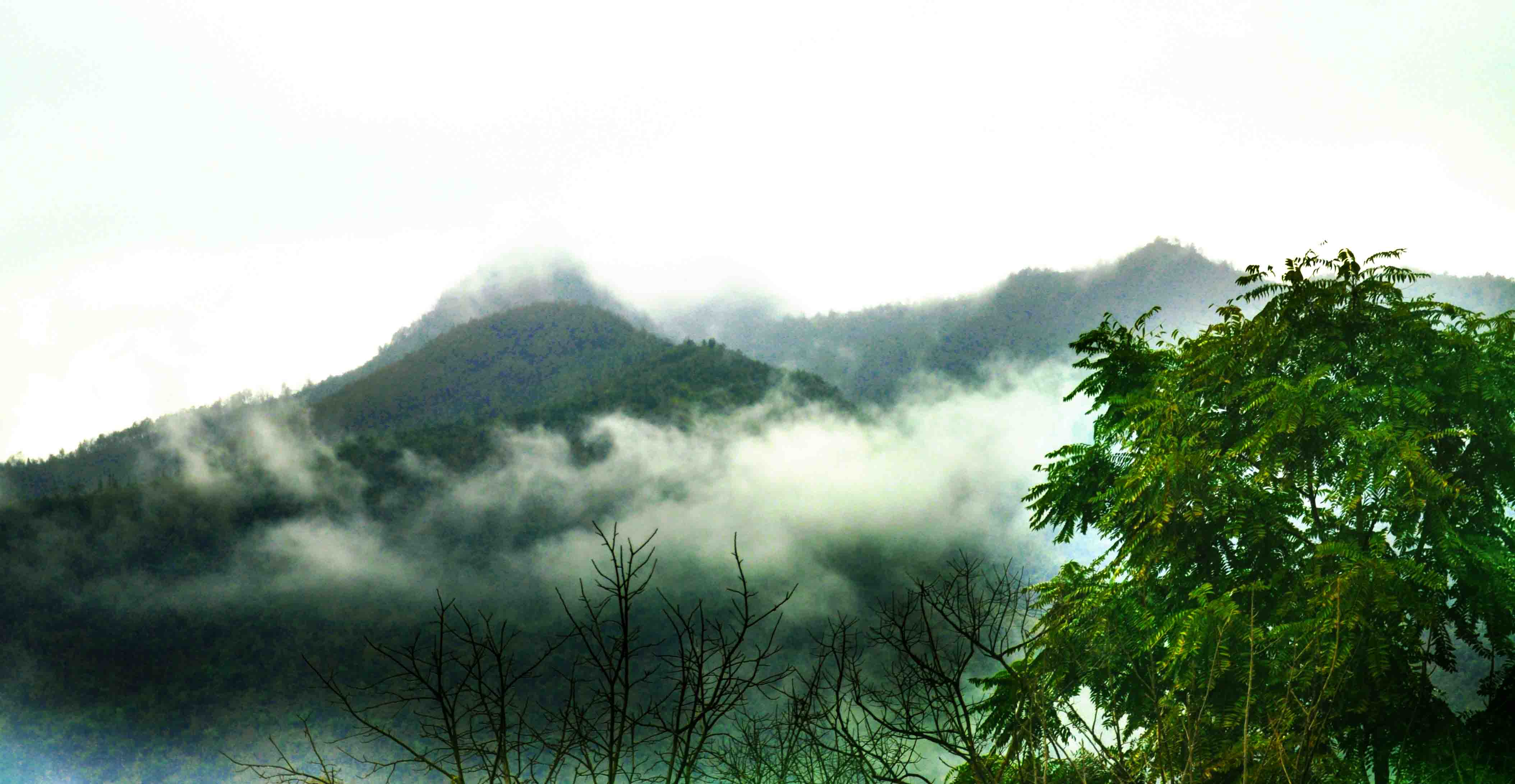 DSC_0813.jpg