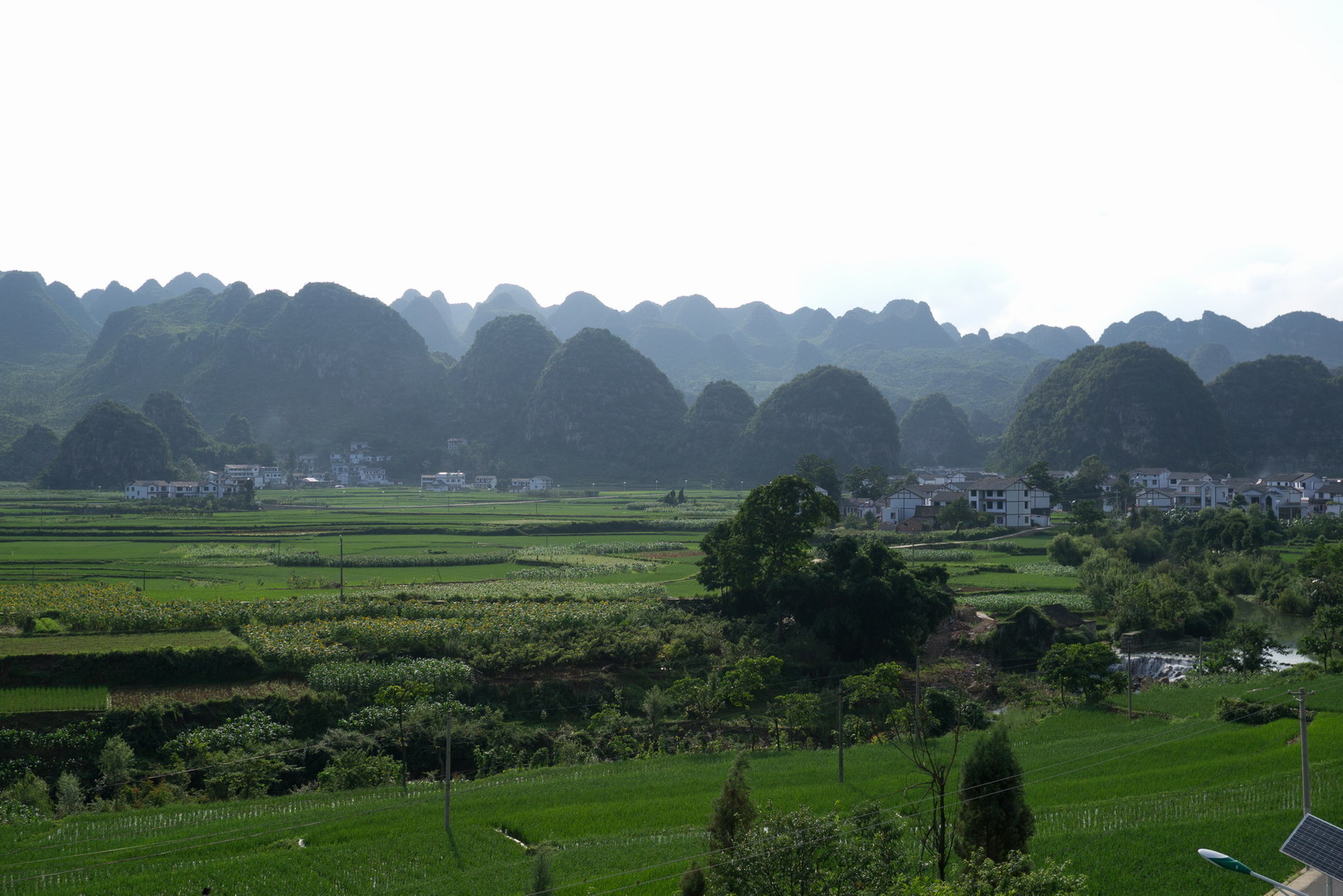 P1010248g.JPG