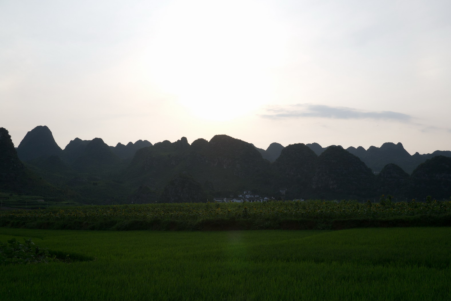 P1010307g.JPG