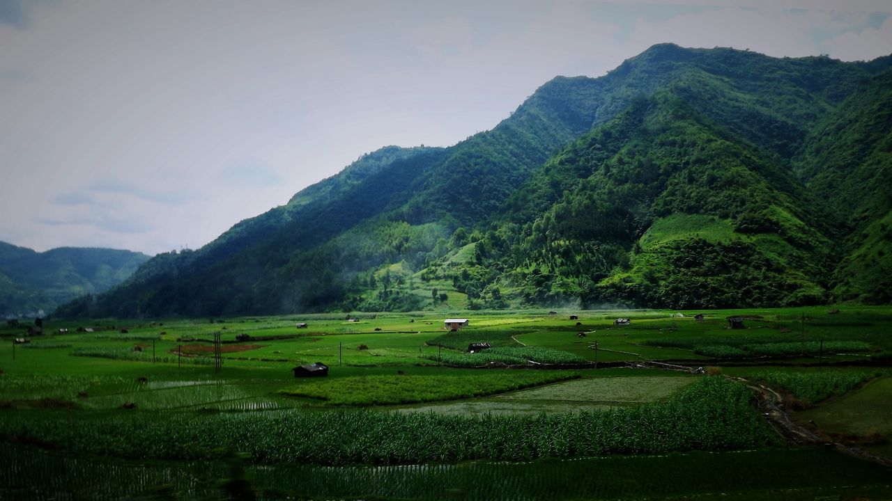 Ƭ 052.jpg