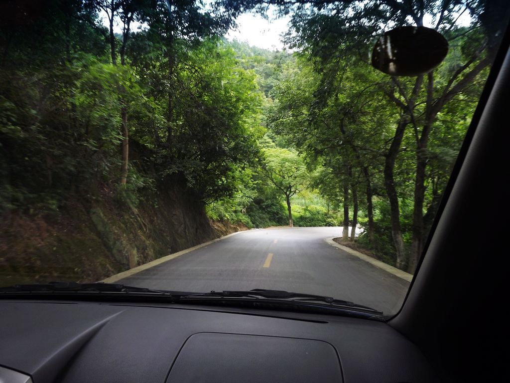 Ƭ 065.jpg