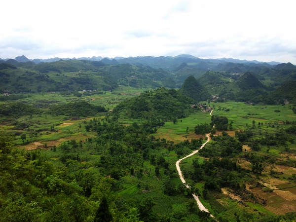 20120712_150120.jpg