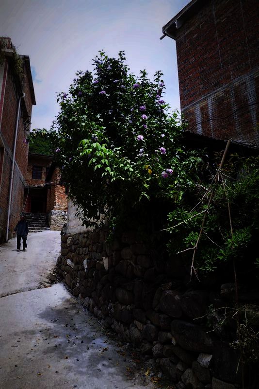 DSCF6533.jpg