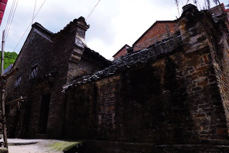 DSCF6523.jpg