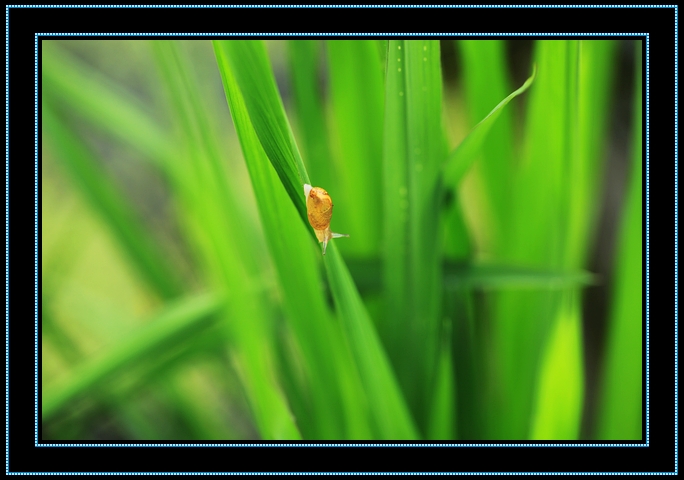 nEO_IMG_2012.07.23 054.jpg