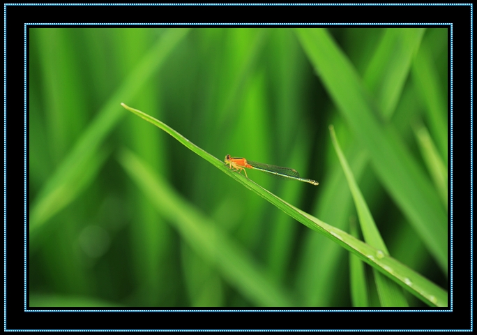 nEO_IMG_2012.07.23 086.jpg