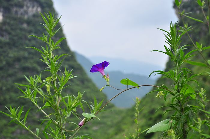 DSC_8485.jpg