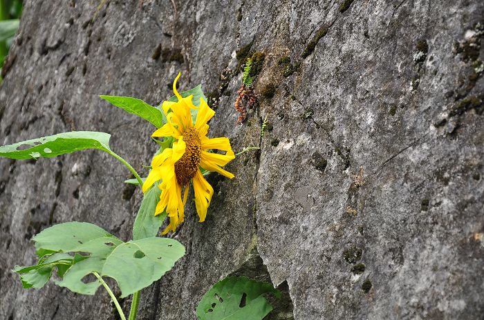 DSC_8489.jpg