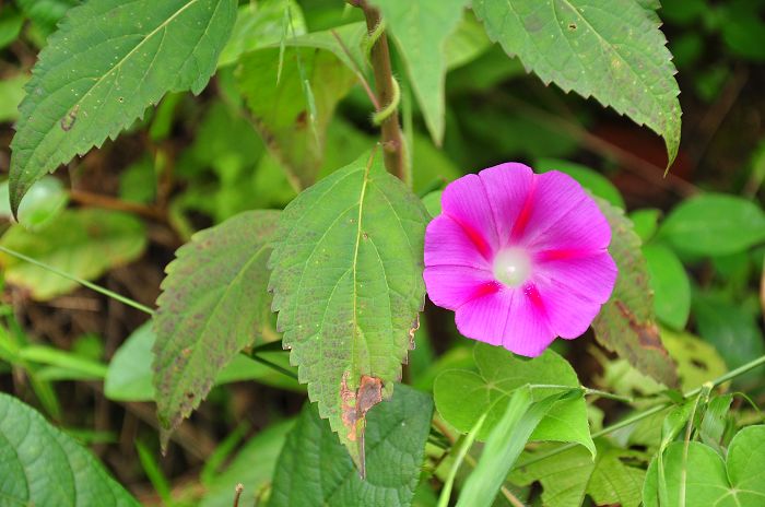 DSC_8479.jpg