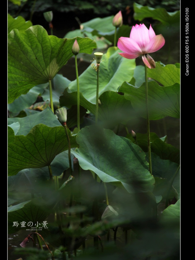 nEO_IMG_IMG_1030.jpg