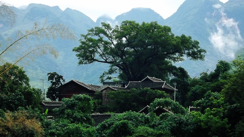 DSCF7701.jpg