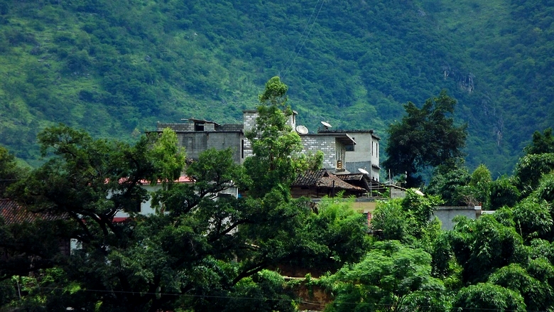 DSCF8013.jpg
