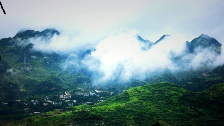 DSCF7675.jpg