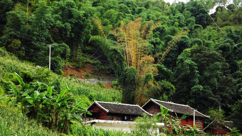 DSCF7899.jpg
