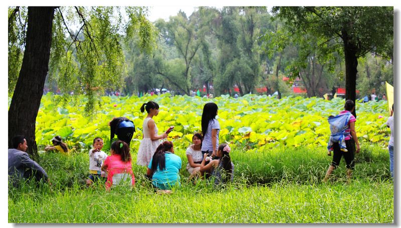 nEO_IMG_ɻ֯24.jpg