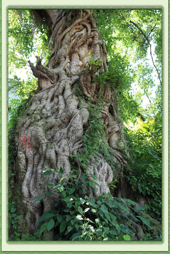 nEO_IMG_2012.07.ӪϹկ 005.jpg