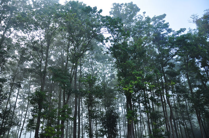 DSC_8891.jpg