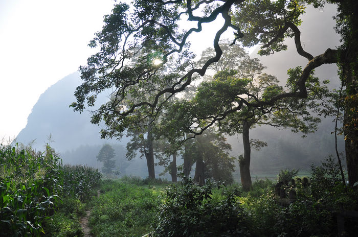 DSC_8904.jpg