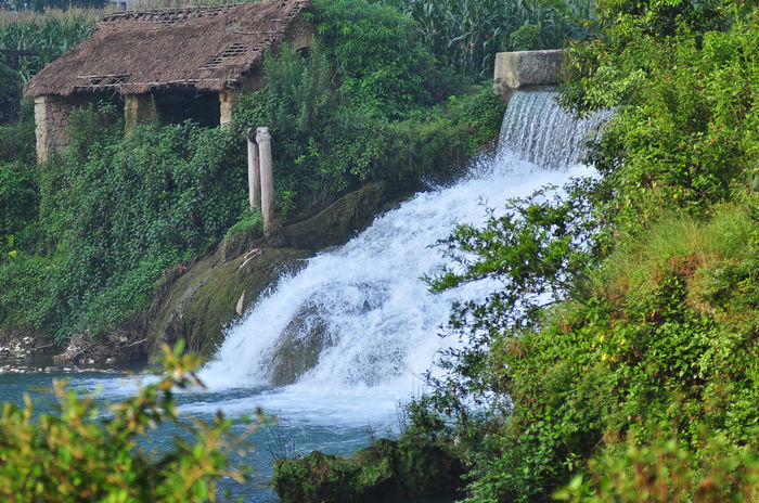 DSC_8926.jpg