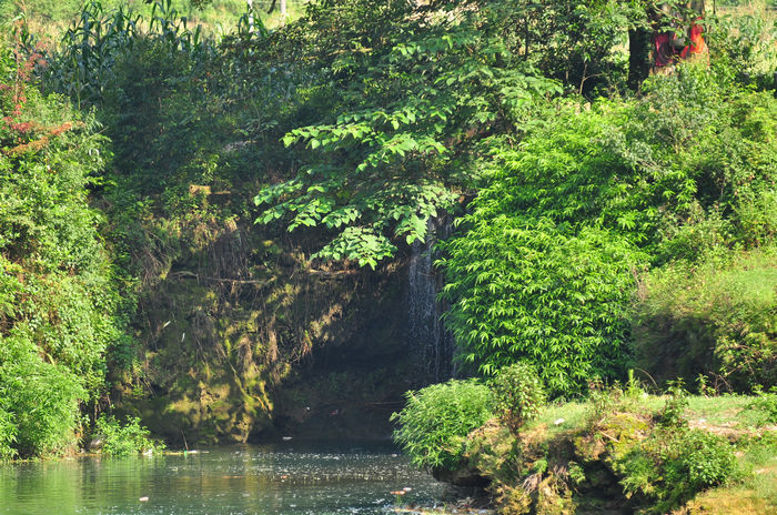 DSC_9015.jpg