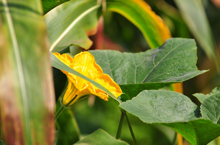 DSC_9029.jpg