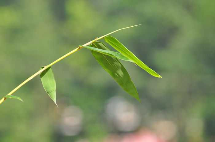 DSC_9030.jpg