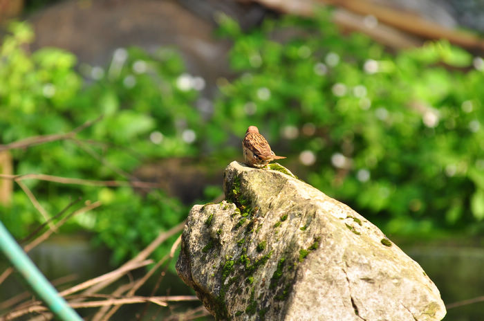 DSC_9031.jpg
