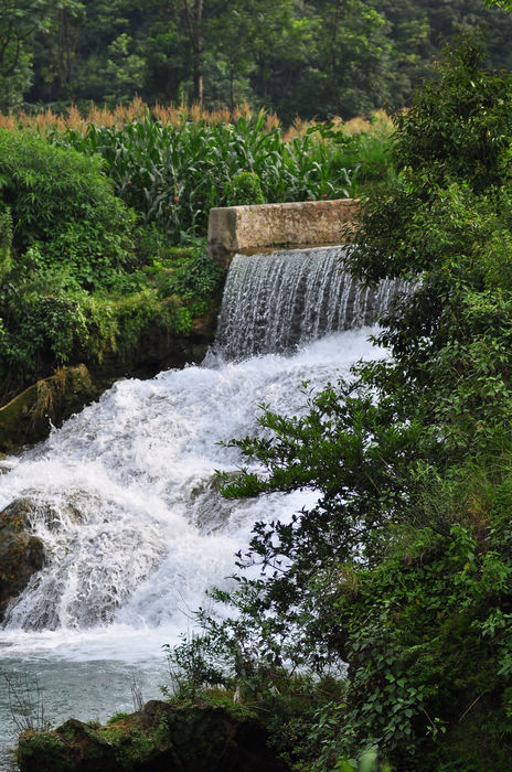 DSC_9212.jpg