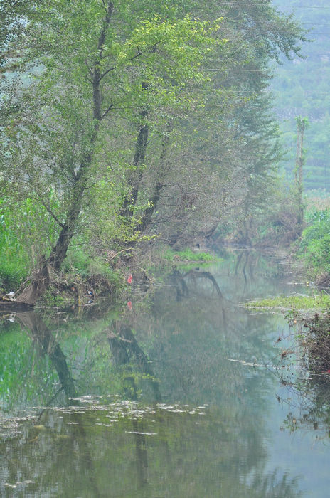 DSC_9324.jpg