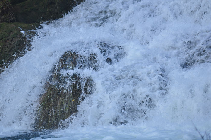 DSC_8923.jpg