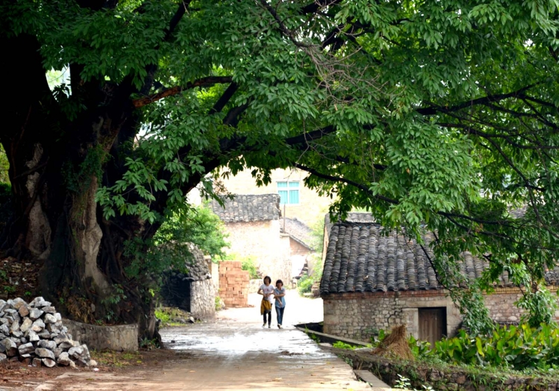 081016fo6erguu9r85wevy_jpg_thumb.jpg