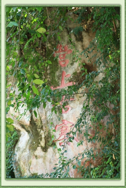 210543srm89m9kznk34c39_jpg_thumb.jpg