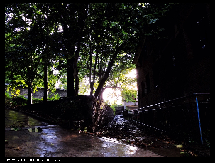 DSCF1011.jpg