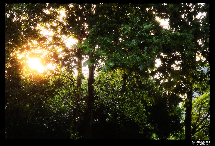 DSCF1021.jpg