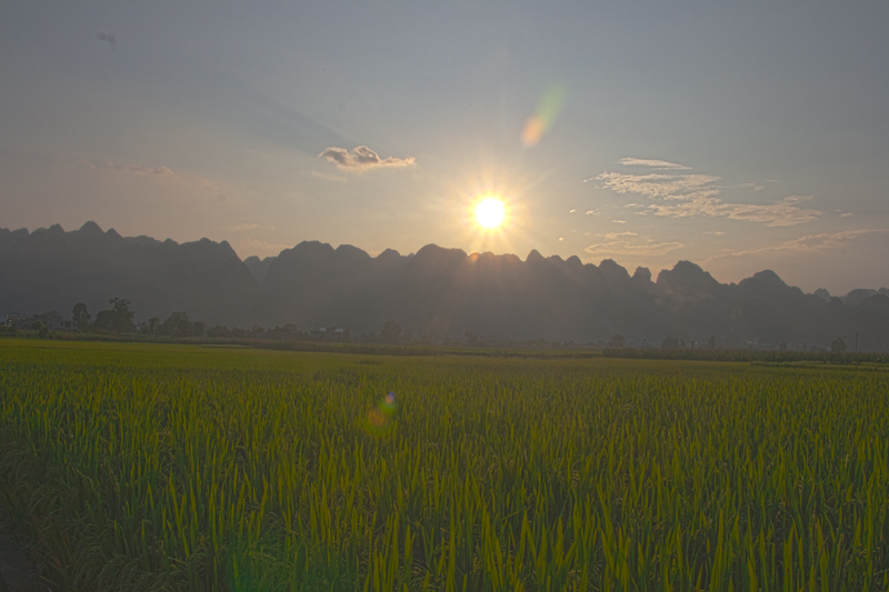 1800X533.jpg