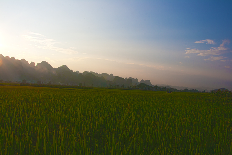2800X533.jpg